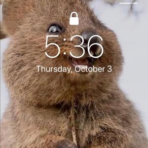 Meet your Posher, Katherine